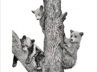 The Three Bear Cubs